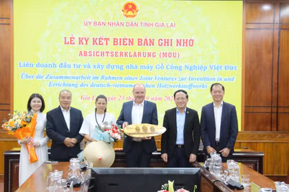 Gia Lai cam kết đồng hành, tạo điều kiện thuận lợi cho nhà đầu tư Đức 