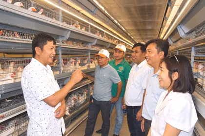 Xã Gào đẩy mạnh phát triển nông nghiệp công nghệ cao