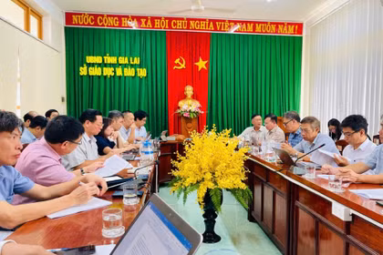 Khảo sát kết quả thực hiện Chiến lược phát triển giáo dục đến năm 2030, tầm nhìn đến năm 2045