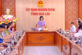 Phó Chủ tịch UBND tỉnh Nguyễn Thị Thanh Lịch (đứng) chủ trì cuộc họp. Ảnh: Đoan Ngọc
