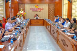 Quang cảnh điểm cầu Gia Lai tham dự hội nghị sơ kết công tác 6 tháng đầu năm 2026 của Bộ Văn hóa - Thể thao và Du lịch chiều 9-7. Ảnh: Đoan Ngọc