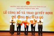 Tiếp nhận, bổ nhiệm 3 Phó Chánh Văn phòng Đoàn ĐBQH và HĐND tỉnh
