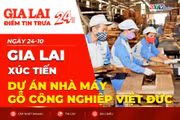 Điểm tin trưa: Gia Lai xúc tiến dự án nhà máy gỗ công nghiệp Việt Đức