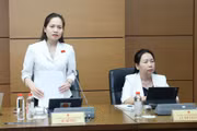 Hoàn thiện Luật Bảo vệ môi trường, bảo đảm tính khả thi từ thực tiễn