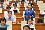 ĐB Lý Tiết Hạnh đề nghị tiếp tục hoàn thiện chính sách đất đai, bảo đảm sinh kế cho người dân. Ảnh: Đoàn ĐBQH tỉnh Gia Lai