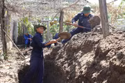 Từ nguồn tin người dân, Đội K52 phát hiện dấu tích hào công sự tại Tuy Phước Đông.