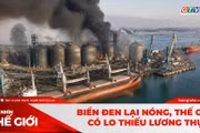 Góc nhìn thế giới 16-8-2026: Biển Đen lại nóng, thế giới có lo thiếu lương thực?