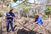 Khẩn trương tìm kiếm, quy tập hài cốt liệt sĩ