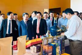 Để tạo đà cho Gia Lai “khai mở” không gian phát triển mới, các chuyên gia kinh tế, doanh nghiệp, nhà đầu tư đã đưa ra những giải pháp cụ thể, thiết thực cho tỉnh nhà.
