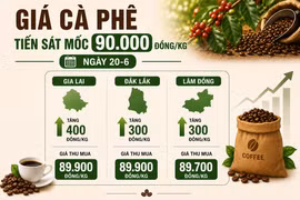 Ngày 20-6, giá cà phê tiến sát mốc 90.000 đồng/kg