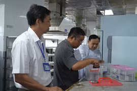  Rà soát vệ sinh an toàn thực phẩm tại Khách sạn Hải Âu