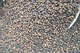 Giá cà phê giảm nhẹ, hồ tiêu mất đến 3.000 đồng/kg