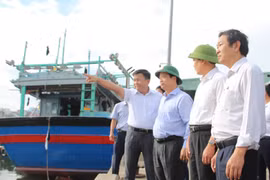 Phó Chủ tịch Thường trực UBND tỉnh Nguyễn Tuấn Thanh kiểm tra hiện trường vụ cháy 8 tàu cá tại khu neo đậu Tam Quan