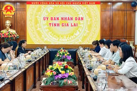Gia Lai sẽ phối hợp triển khai hỗ trợ phụ nữ mang thai có hoàn cảnh khó khăn