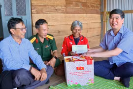 Phó Chủ tịch UBND tỉnh Lâm Hải Giang thăm, tặng quà người có công với cách mạng