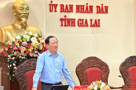 Lãnh đạo tỉnh Gia Lai lắng nghe, tháo gỡ khó khăn cho doanh nghiệp xuất nhập khẩu