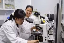 Bộ GD&ĐT đề xuất chính sách học bổng cho 15 nhóm ngành khoa học, kỹ thuật then chốt