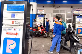 Đảm bảo nguồn cung xăng dầu liên tục cho sản xuất, kinh doanh và tiêu dùng