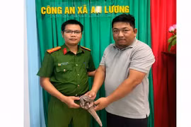 Gia Lai: Người dân giao nộp 1 cá thể tê tê Java quý hiếm