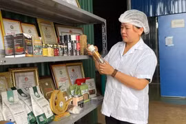 Đến năm 2030, cả nước có trên 5.000 HTX và 500 tổ hợp tác ứng dụng công nghệ cao vào sản xuất