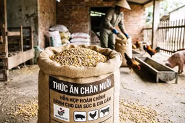 Bãi bỏ 3 thủ tục hành chính trong lĩnh vực chăn nuôi và thú y