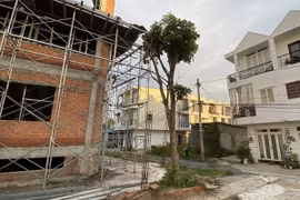 Nhà ở riêng lẻ từ 7 tầng trở lên phải được thiết kế bởi tổ chức, cá nhân có chuyên môn