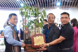 Trường Sinh Group đấu giá thành công cây Sâm Ngọc Linh 35 năm tuổi trị giá 725 triệu đồng