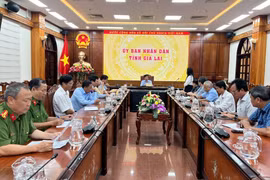 Quyết liệt xử lý vụ nghi ngờ ngộ độc thực phẩm tại phường Quy Nhơn Đông