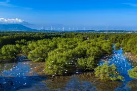 Gia Lai: Tăng cường quản lý nhà nước trong công tác bảo vệ đa dạng sinh học, nguồn lợi thủy sản