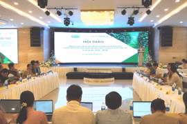 Nâng cao năng lực định hướng và phát triển chuỗi liên kết sản xuất hồ tiêu bền vững ở Gia Lai