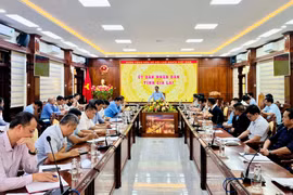 Đảm bảo thi công Dự án đường bộ cao tốc Quy Nhơn - Pleiku đạt tiến độ và chất lượng