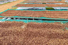 Giá cà phê Robusta xuống đáy 6 tháng, Arabica thấp nhất trong 15 tháng qua 