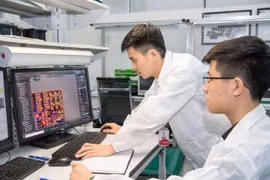 1.500 suất học bổng toàn phần đi học nước ngoài: Ai có cơ hội được nhận?