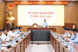 Ban Chỉ đạo triển khai Đề án phát triển kinh tế tư nhân tỉnh Gia Lai họp phiên thứ 2