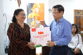 Phó Chủ tịch UBND tỉnh Nguyễn Tự Công Hoàng thăm, tặng quà người có công tiêu biểu