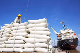 Xuất khẩu gạo 6 tháng đạt khoảng 5,2 triệu tấn