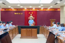 Phó Bí thư Tỉnh ủy Nguyễn Ngọc Lương làm việc với Ban Thường vụ Hội Chữ thập đỏ tỉnh Gia Lai 