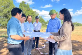 Chủ tịch UBND tỉnh Phạm Anh Tuấn kiểm tra thực tế 6 dự án đầu tư tại khu vực Tây Gia Lai