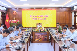 Gia Lai họp Ban Chỉ đạo triển khai chiến dịch làm giàu, làm sạch cơ sở dữ liệu quốc gia về đất đai
