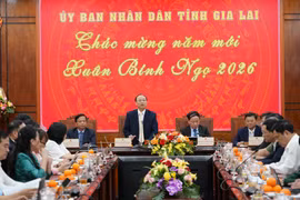 Nhân dân Gia Lai đón Tết với tinh thần phấn khởi, vui tươi, lành mạnh, an toàn, tiết kiệm