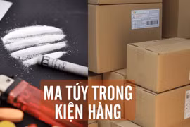 Hơn 10 kg ma túy trong những kiện hàng gửi từ Đức về Việt Nam