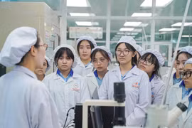 Ban hành danh mục 111 ngành học sinh viên được hỗ trợ học bổng