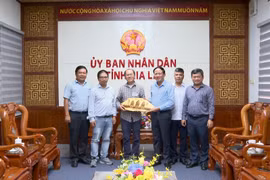 Chủ tịch UBND tỉnh Phạm Anh Tuấn tiếp và làm việc với Giáo sư Đàm Thanh Sơn