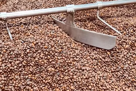 Giá cà phê đảo chiều giảm 800-1.000 đồng/kg trong ngày 27-3