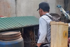Đak Đoa: Khử trùng tiêu độc ổ dịch bệnh dại tại thôn 2 Tân Bình