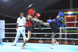 Giải vô địch các câu lạc bộ võ cổ truyền quốc gia năm 2026 sẽ diễn ra tại Gia Lai