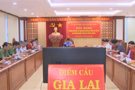 Cập nhật kiến thức, quy định mới trong các lĩnh vực và bồi dưỡng nghiệp vụ kiểm tra, giám sát