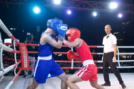 Khai mạc Đại hội TDTT môn boxing và Giải vô địch boxing trẻ các CLB, võ đường tỉnh Gia Lai năm 2026. 