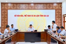 Họp triển khai công tác tổ chức Liên hoan quốc tế Võ cổ truyền Việt Nam lần thứ IX tại Gia Lai