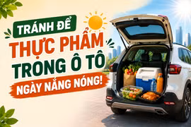 Tránh để thực phẩm trong ô tô ngày nắng nóng